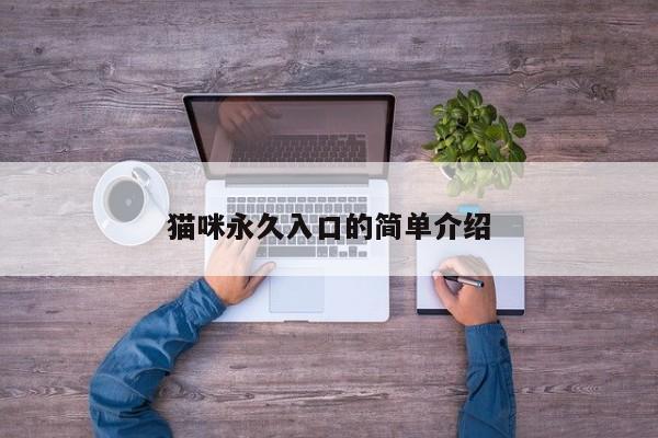 猫咪永久入口的简单介绍