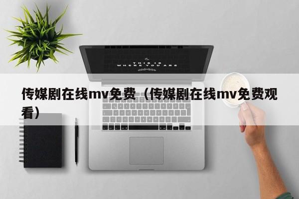 传媒剧在线mv免费（传媒剧在线mv免费观看）