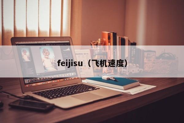feijisu（飞机速度）