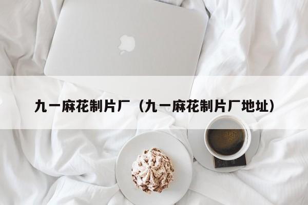 九一麻花制片厂（九一麻花制片厂地址）